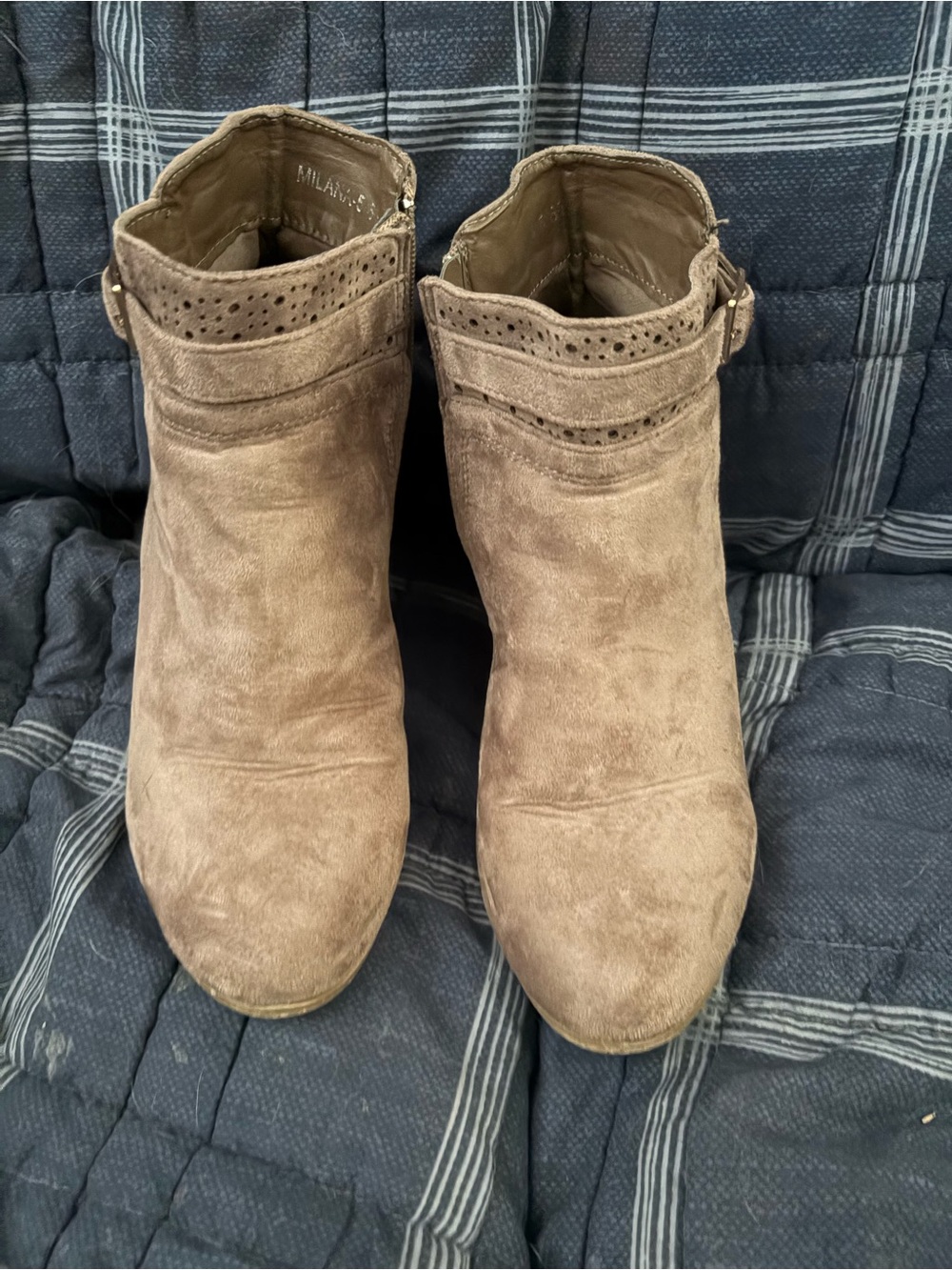 Milani Taupe Suede Ankle Booties with Buckle Detail